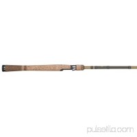 Fenwick Eagle Salmon/Steelhead Spinning Fishing Rod   567449252